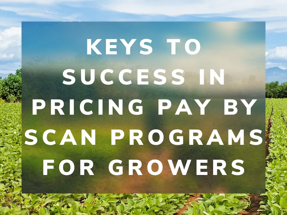 Keys To Success In Pricing Pay By Scan Programs For Growers