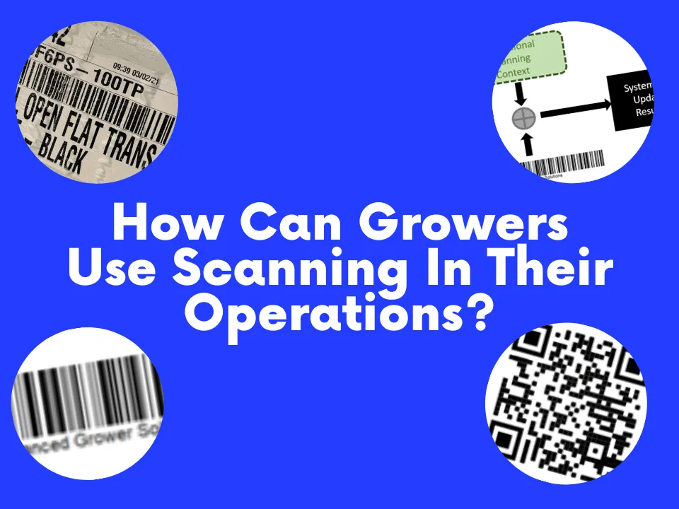How Can Growers Use Scanning In Their Operations?