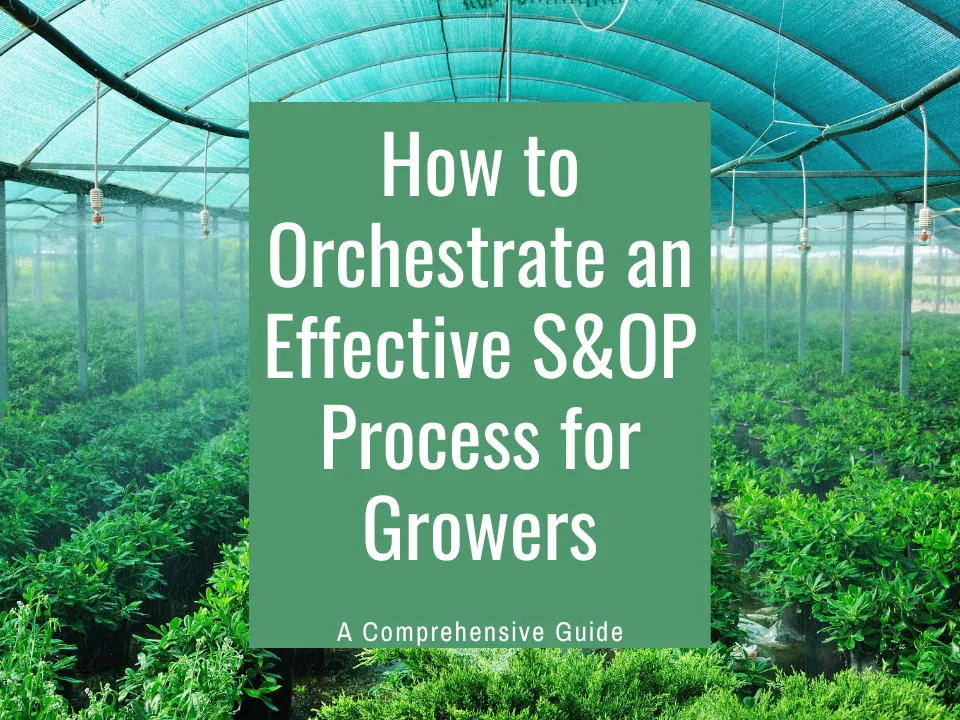 How to Orchestrate an Effective S&OP Process for Growers: A Comprehensive Guide