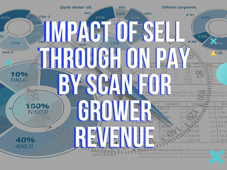 Impact of Sell through on Pay by Scan for Grower Revenue