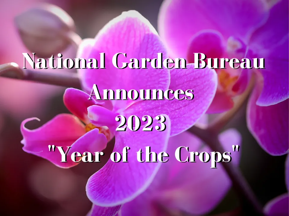 National Garden Bureau Has Released 2023 Year of the Plants Free Marketing Material