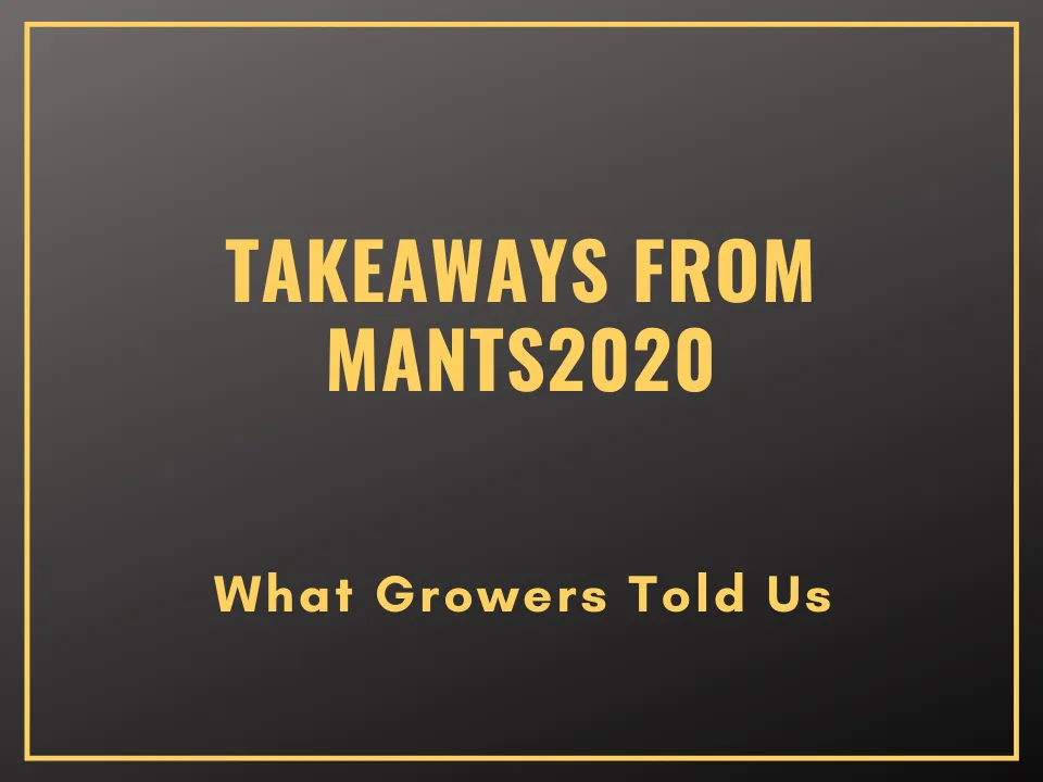 Takeaways From MANTS2020
