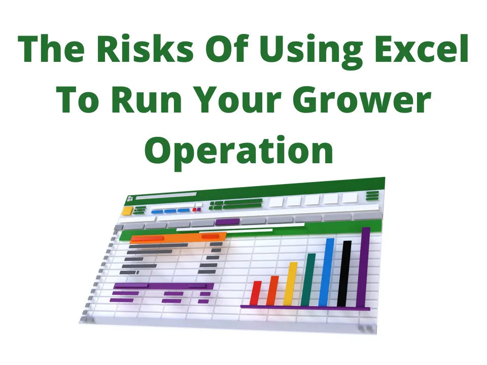The Risks Of Using Excel To Run Your Grower Operation