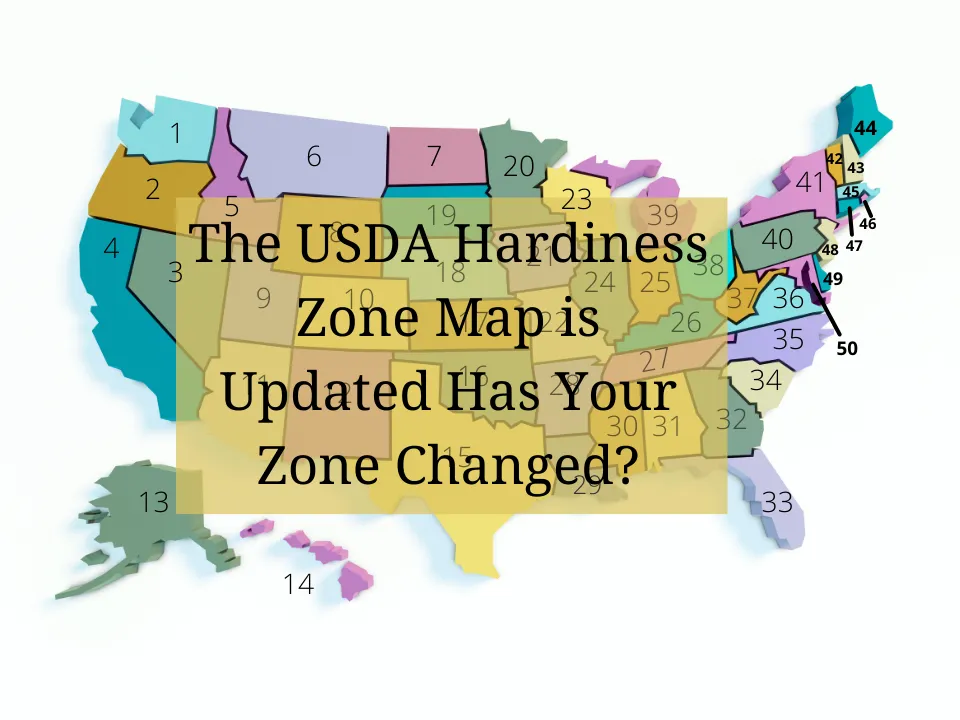 The USDA Hardiness Zone Map is Updated Has Your Zone Changed?