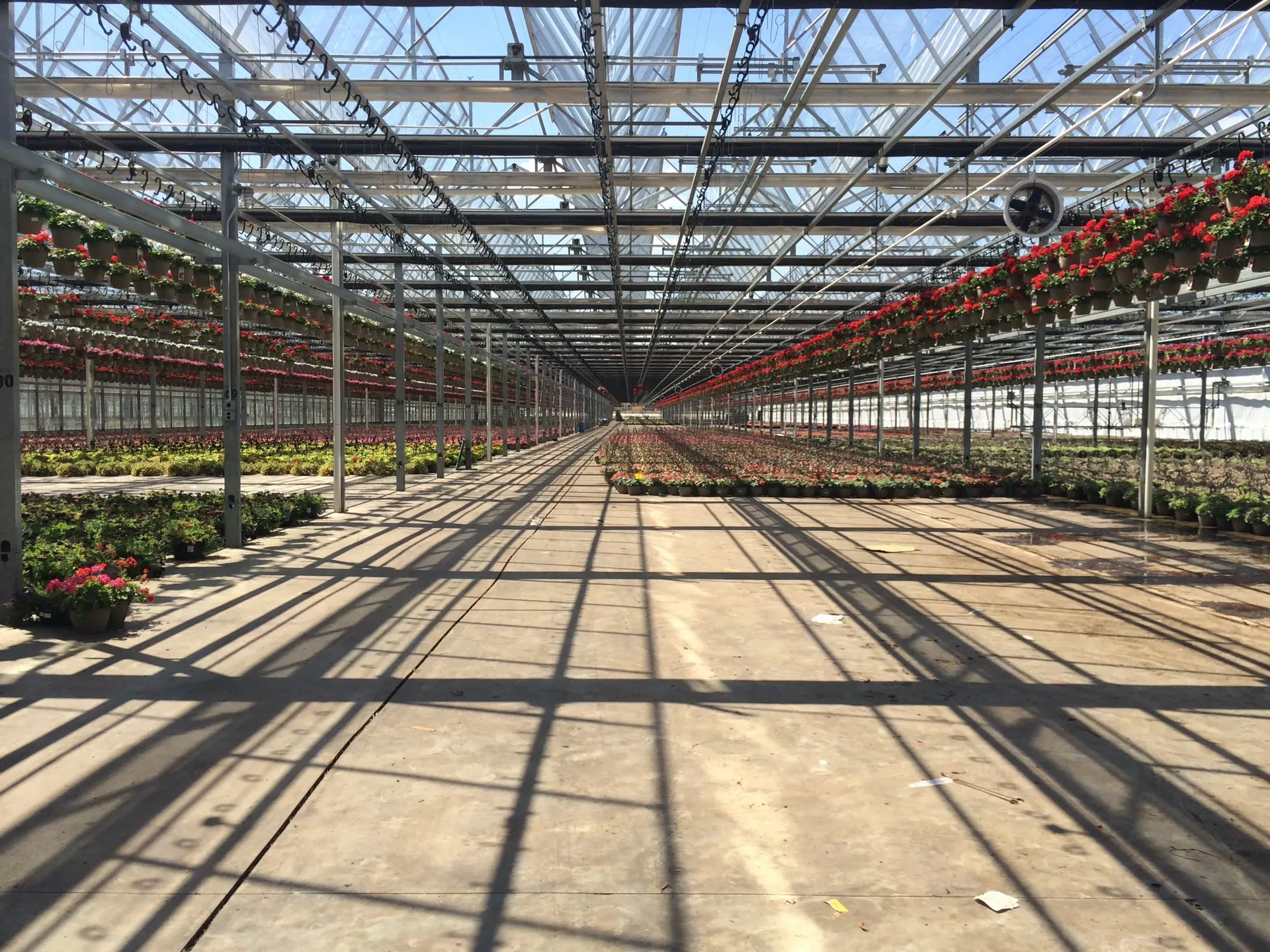 How Catoctin Mountain Growers Linked Space Planning to Production with PRODUCE™