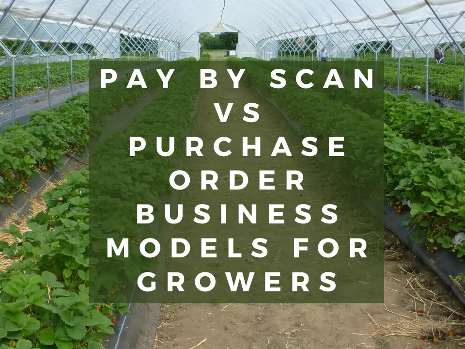 Pay By Scan Vs Purchase Order Business Models For Growers