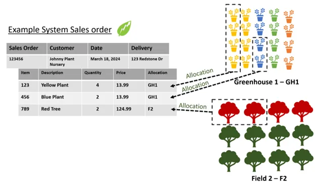 examplesalesorder