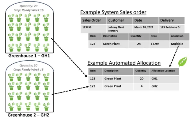 examplesalesorder2