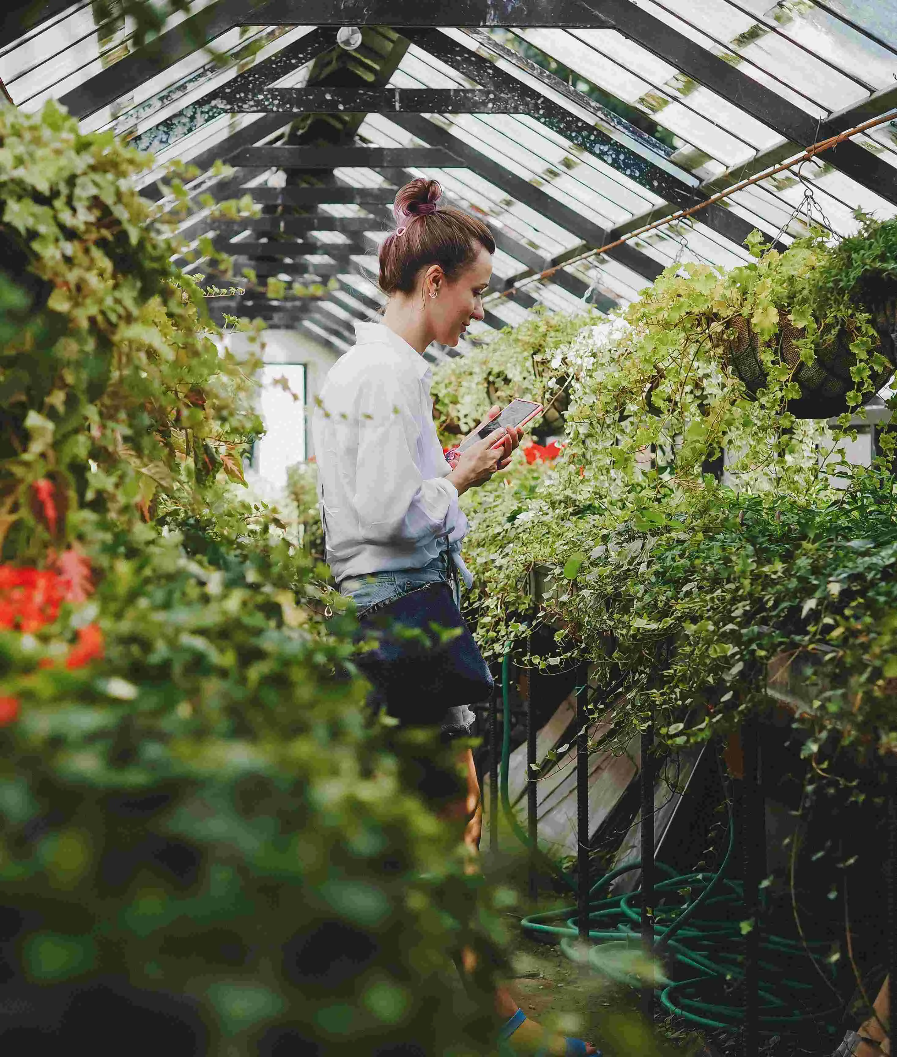 Maximizing Efficiency in Horticulture Operations with Modularized ERP Software